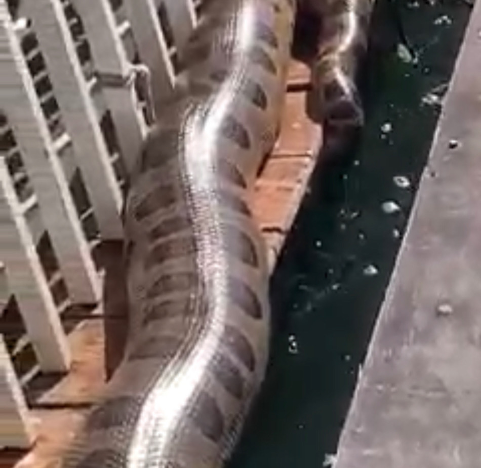 1B9C7E96-A619-4F24-8E5F-09E1BAC00AA6