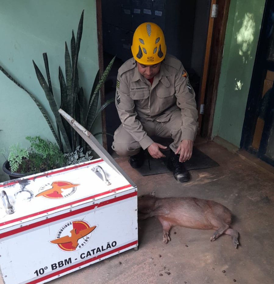 38537F73-92AC-4232-9C0E-40A39BD04A88